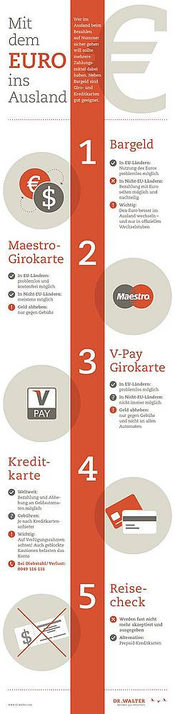 Infografik Euro im Ausland