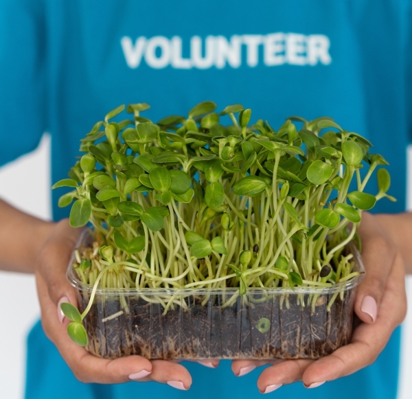 Freiwilliger mit kleinen Pflanzen in der Hand