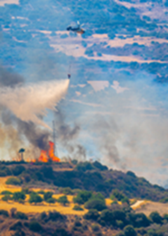 Waldbrand Urlaub